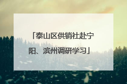 泰山区供销社赴宁阳、滨州调研学习